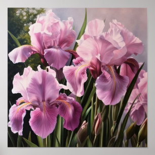 Roze Irissen Bloemenkunst Print Poster