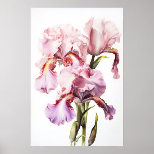 Roze Irissen Bloemenkunst Print Poster