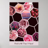 Roze is alles wat ik heb! 11 Afbeeldingen Hexagon  Poster (Voorkant)