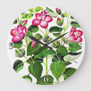 Roze Italiaanse Hibiscus-bloemen, gedrukt Grote Klok