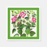 Roze Italiaanse Hibiscus-bloemen, gedrukt