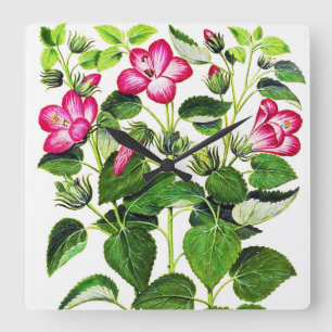 Roze Italiaanse Hibiscus-bloemen, gedrukt Vierkante Klok