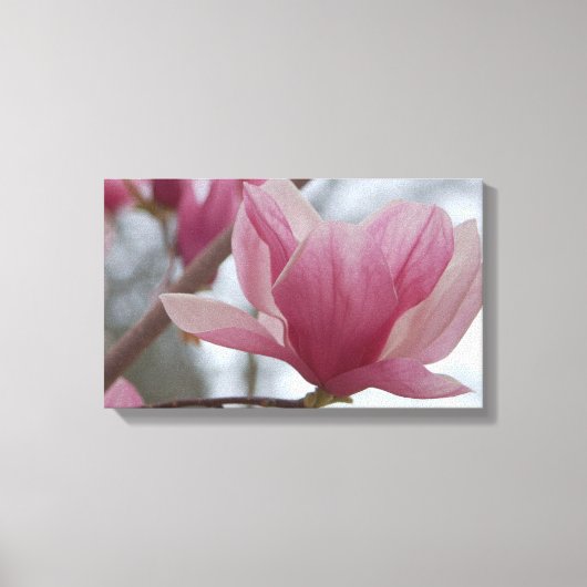 Roze Japans Magnolia Canvas Print (Voorkant)