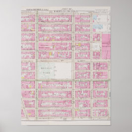 Roze kaart met Bryant Park Poster