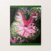Roze kaladium Puzzle Legpuzzel (Verticaal)