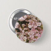 Roze Kalanchoe Plant Ronde Button 5,7 Cm (Voorkant /achterkant)