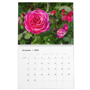 Roze kalender