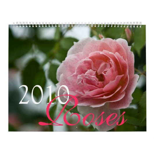 Roze kalender 2010 (Hoes)