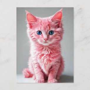 Roze Kat Briefkaart