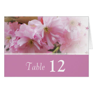 roze kerry blossom bruiloft , nummer van de etenta