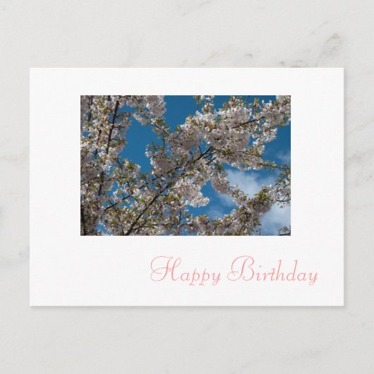 roze kersen bloesbloem briefkaart (Voorkant)