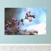 Roze Kersenbloesem, Blauwe Lucht, Witte Wolk Canvas Afdruk (Insitu (Houten vloer))