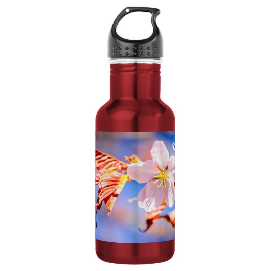 Roze Kersenbloesem Bloem Blauwe Lucht Waterfles (Voorkant)