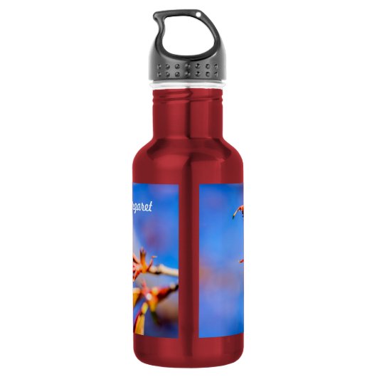 Roze Kersenbloesem Bloem Blauwe Lucht Waterfles (Achterkant)