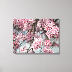 Roze Kersenbloesem Bloemen Boom Canvas Afdruk