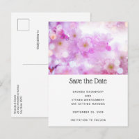 Roze Kersenbloesem Bloemen Foto