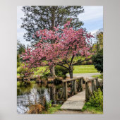 Roze Kersenbloesem en Houten Bruggetje Poster (Voorkant)