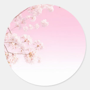 Roze Kersenbloesem Lente Sereniteit Ronde Sticker