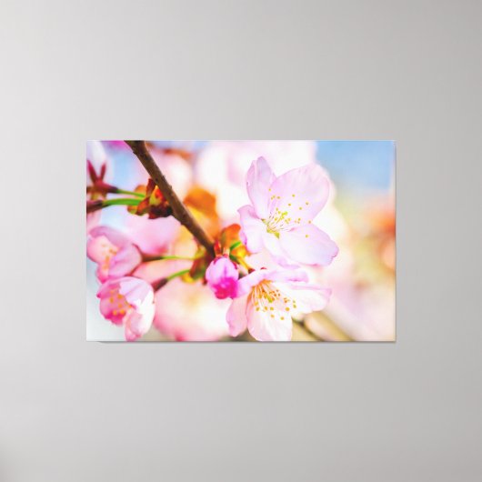 Roze Kersenbloesems. De Triumf Van Het Leven In De Canvas Afdruk (Voorkant)