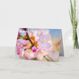 Roze Kersenbloesems. De Triumf Van Het Leven In De Kaart