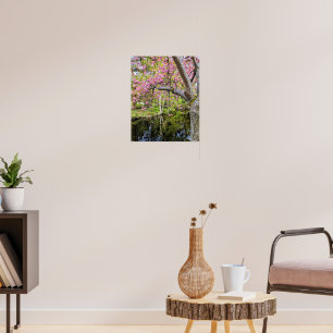Roze Kersenbloesems Langs Vijver Poster