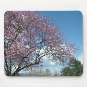 Roze kersenboom en blauwe lucht, witte wolken muismat