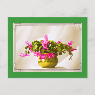 Roze Kerstcactus Portret Feestdagenkaart