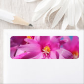 Roze kerstcactus Schlumbergera Flower Blossom Etiket (Insitu)