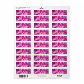 Roze kerstcactus Schlumbergera Flower Blossom Etiket (Full Sheet)