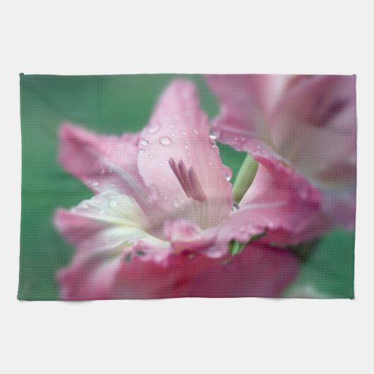 Roze keukenhanddoeken van Gladiolus (Horizontaal)