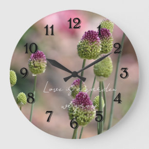 Roze Klaver Bloemen Fotografie Grote Klok