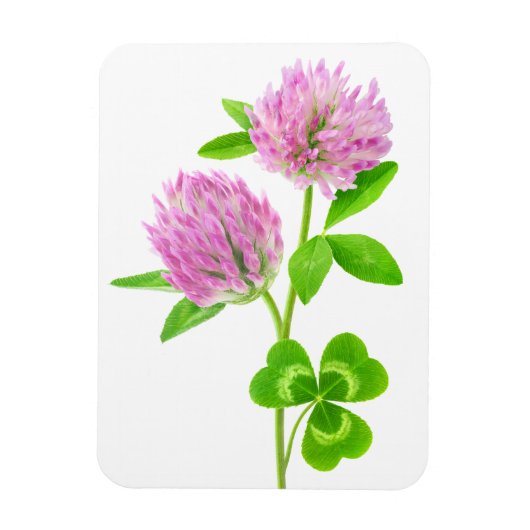 Roze klaver magneet (Verticaal)