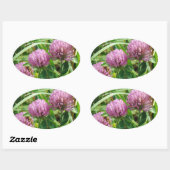 Roze klaver Wilde bloem - Trifolium pratense Ovale Sticker (Vel)