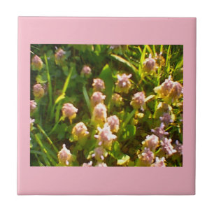 Roze kleppen tegeltje