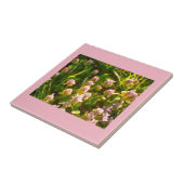 Roze kleppen tegeltje (Zijkant)