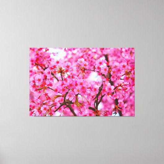 Roze kleur Cherry Blossom Canvas Afdruk (Voorkant)