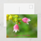 roze klokken feestdagenkaart (Voorkant / Achterkant)