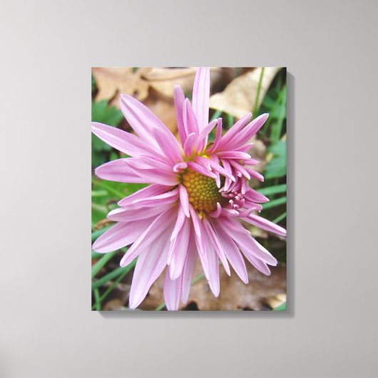 Roze knipoot! canvas afdruk (Voorkant)