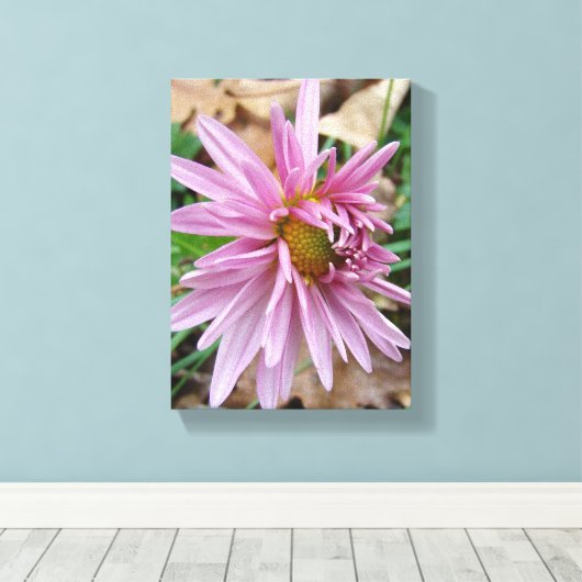 Roze knipoot! canvas afdruk (Insitu (Houten vloer))
