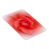 roze koraal roos magneet (Rechterzijde)