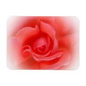 roze koraal roos magneet (Horizontaal)