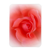 roze koraal roos magneet (Verticaal)