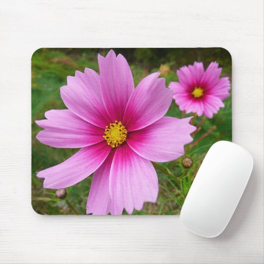 Roze kosmos bloemen muismat (Met muis)