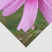 Roze kosmos bloemen tissuepapier (Detail)