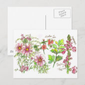 Roze Kosmos Snapdragon Bloemen Schets Briefkaart (Voorkant / Achterkant)
