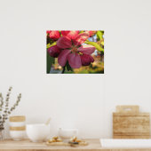Roze krab Apple Tree Flower Poster (Keuken)