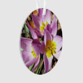 Roze krokodilentekoraal ornament (voorkant)