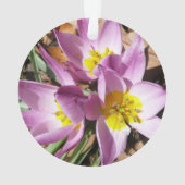 Roze krokodilentekoraal ornament (achterkant)