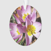 Roze krokodilentekoraal ornament (voorkant)