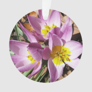 Roze krokodilentekoraal ornament